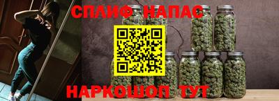 прущие грибы Бугуруслан