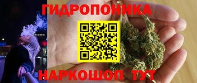 прущие грибы Бугуруслан