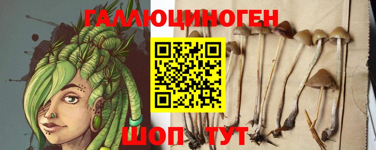 Мончегорск  Галлюциногенные грибы Magic Shrooms  Псилоцибиновые грибы Psilocybe  Вход с VPN 