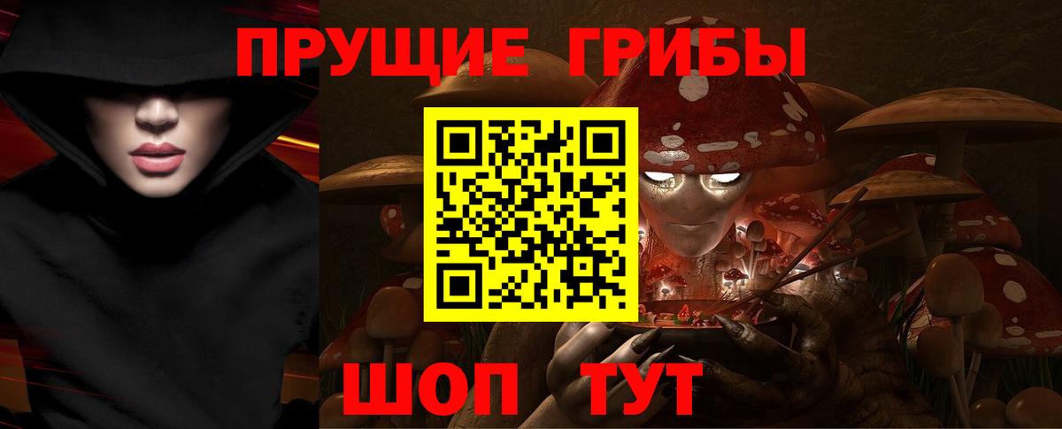 Псилоцибиновые грибы прущие грибы Мончегорск